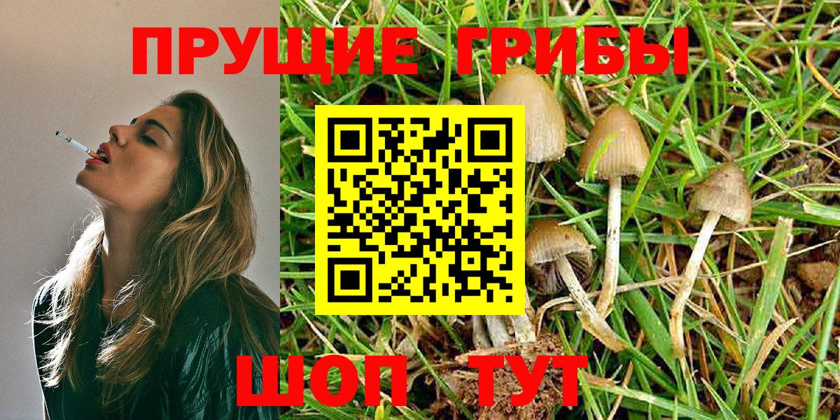 Галлюциногенные грибы GOLDEN TEACHER  Вход с VPN  Лянтор 