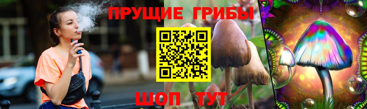 Галлюциногенные грибы Psilocybine cubensis Лянтор